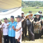 PANEN RAYA DAN TANGGAP DARURAT, KOMITMEN NYATA BUPATI DAN WAKIL BUPATI KUNINGAN UNTUK RAKYAT