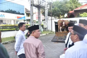 Khidmat Idul Adha di Kuningan: Bupati Dian Serahkan Sapi Presiden Prabowo, Serukan Pembangunan dengan Hati yang Ikhlas