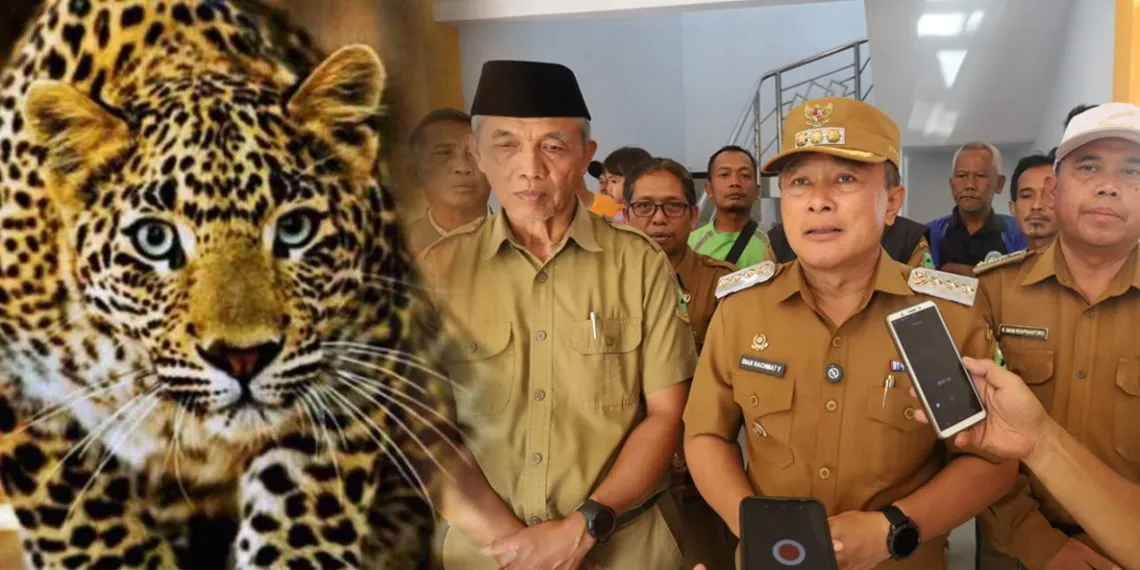Macan Tutul Gegerkan Warga Kutamandarakan, Bupati Kuningan Pastikan Hewan Dilindungi Itu Akan Dilepasliarkan