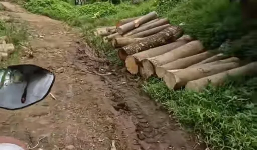 Jalan Rusak di Kampung Adat Bulak Kupa Viral, Warga Pertanyakan Anggaran Desa Mandapajaya