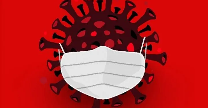 Antisipasi Virus Nipah, IDAI Terbitkan Panduan Aman Konsumsi Buah dan Daging