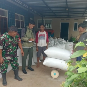 Wujud Nyata Kepedulian TNI terhadap Ketahanan Pangan
