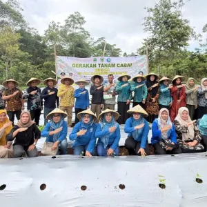 TP PKK Kabupaten Kuningan Gencarkan Gerakan Tanam Cabai untuk Kendalikan Inflasi dan Perkuat Ketahanan Pangan