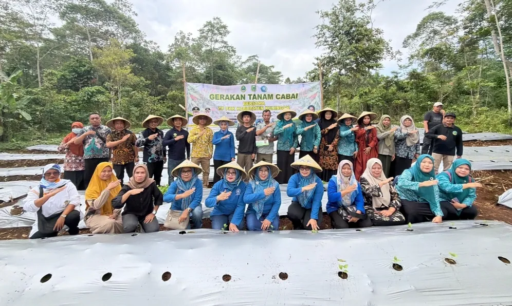 TP PKK Kabupaten Kuningan Gencarkan Gerakan Tanam Cabai untuk Kendalikan Inflasi dan Perkuat Ketahanan Pangan