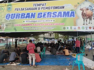 Tahun Kurban Bersama Desa Cikaso: Dari 9 Ekor Menjadi 28 Sapi, Ribuan Warga Merasakan Kebersamaan