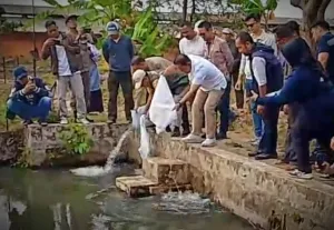 Bupati Dian Tebar Benih Ikan di Awirarangan, Dorong Kelompok Perikanan Mandiri dan Perkuat Ketahanan Pangan Warga