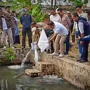 Bupati Dian Tebar Benih Ikan di Awirarangan, Dorong Kelompok Perikanan Mandiri dan Perkuat Ketahanan Pangan Warga