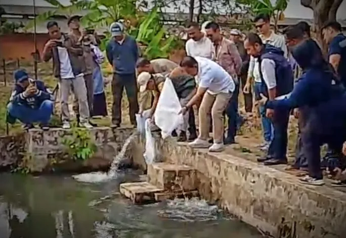 Bupati Dian Tebar Benih Ikan di Awirarangan, Dorong Kelompok Perikanan Mandiri dan Perkuat Ketahanan Pangan Warga