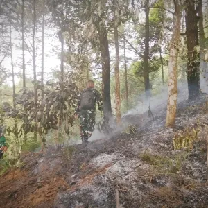 Puntung Rokok Jadi Petaka, Kebakaran Lahan TNGC di Desa Sayana Berhasil Dipadamkan