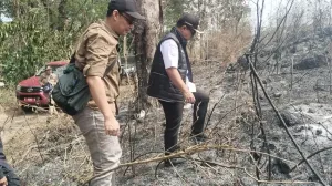 Kebakaran Hutan di Kawasan TNGC Meluas hingga 40 Hektare, Api Berhasil Dipadamkan