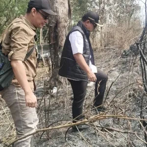 Kebakaran Hutan di Kawasan TNGC Meluas hingga 40 Hektare, Api Berhasil Dipadamkan