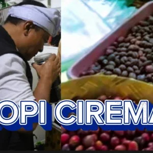 Kopi Ciremai Jadi Primadona, Bupati Dian: Kuningan Punya Masa Depan Ekonomi yang Cerah