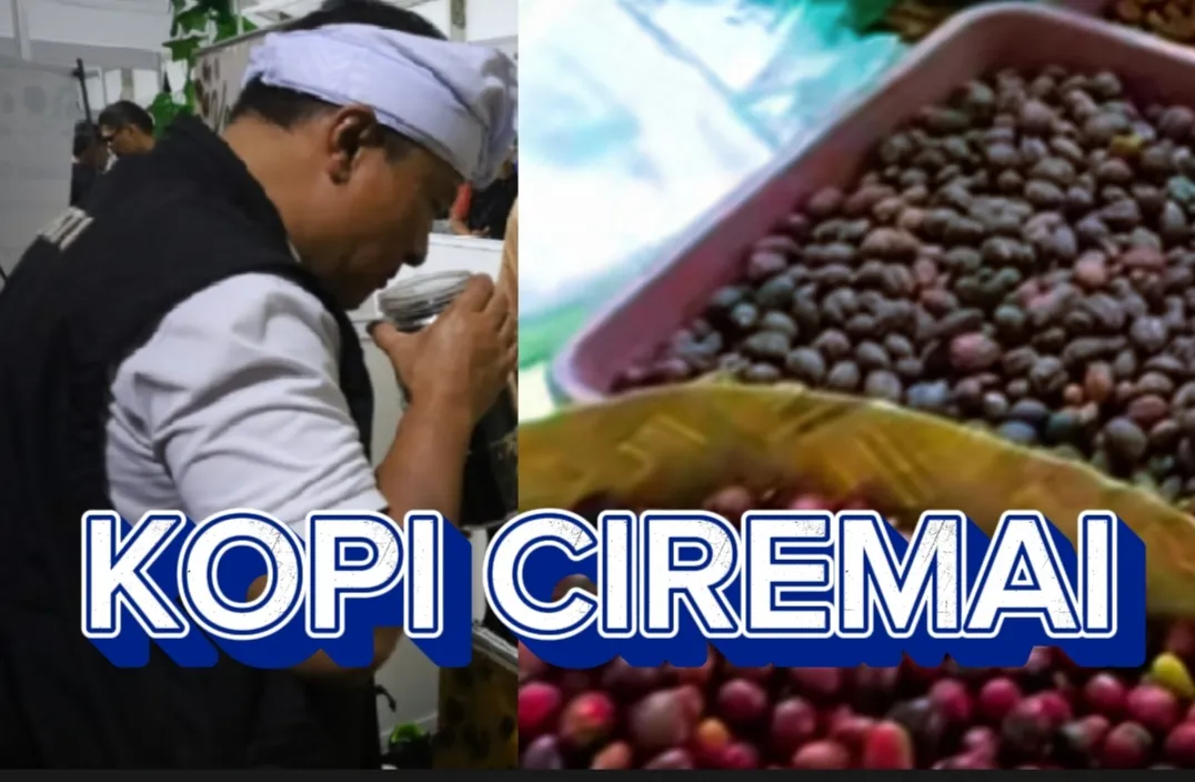 Kopi Ciremai Jadi Primadona, Bupati Dian: Kuningan Punya Masa Depan Ekonomi yang Cerah