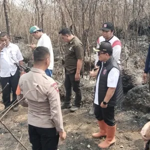 Kebakaran TNGC Meluas hingga 40 Hektare, Angin Kencang Bikin Api Lompat Sekat