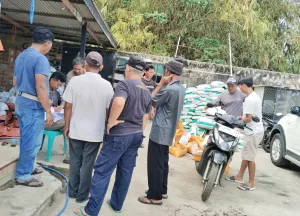 Bakti Taskin Kuningan Dorong Produktivitas Ubi Jalar, Hasil Demplot Tembus 45 Ton per Hektare